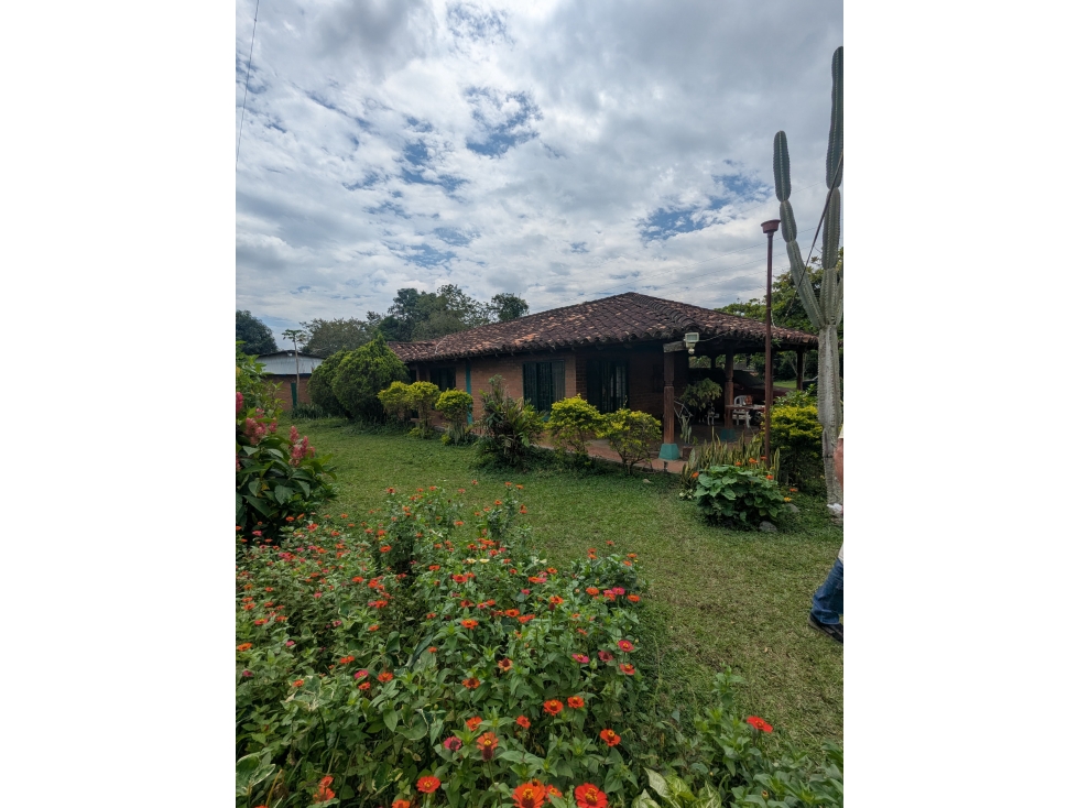 FINCA EN VEREDA DOMINGUILLO - 115 - 1