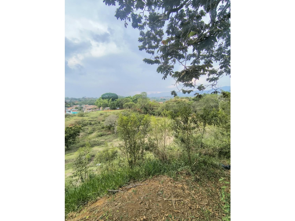 C36 SE VENDE GRAN LOTE DE 5.013M2 EN EL BARRIO CAMPITO SANTANDER DE Q - 1