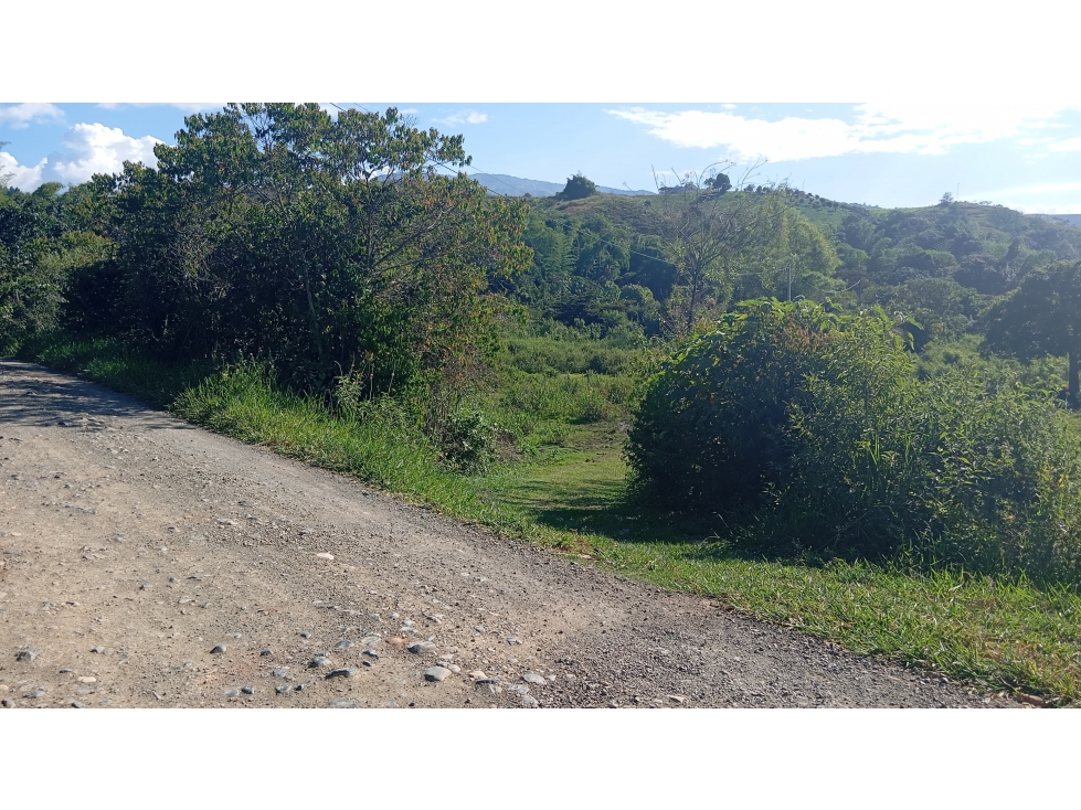 LOTE CAMPESTRE EN QUINAMAYO - 16 - 4