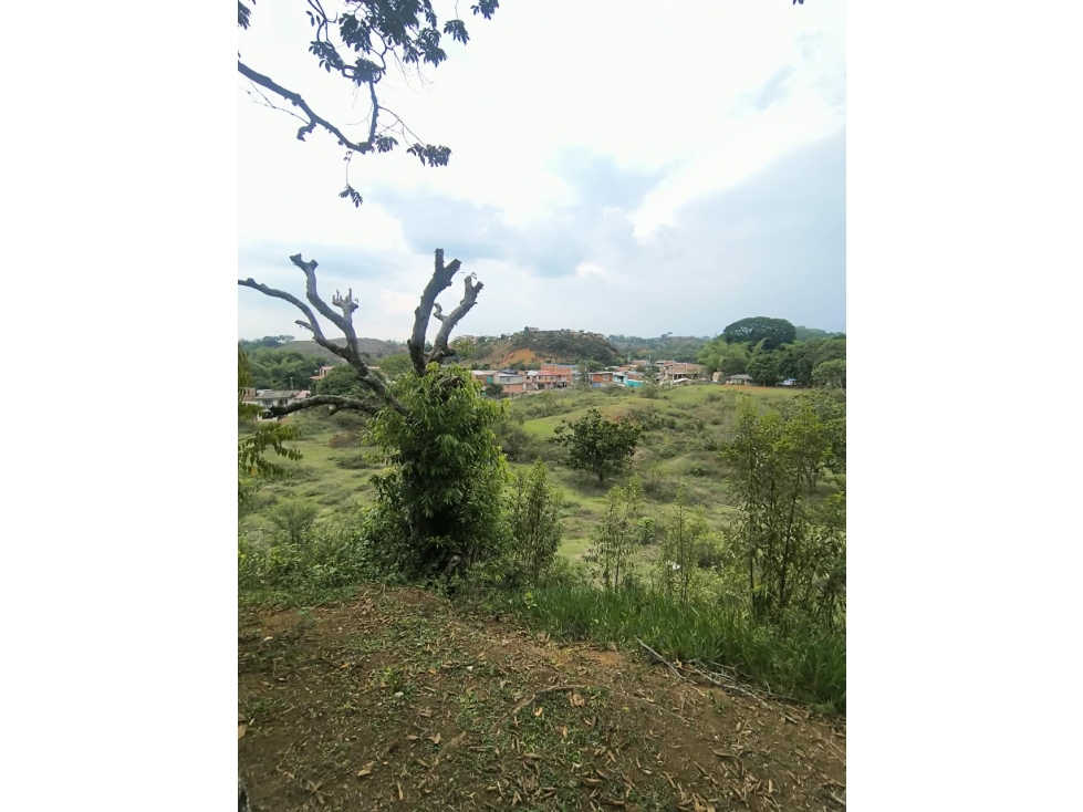 C36 SE VENDE GRAN LOTE DE 5.013M2 EN EL BARRIO CAMPITO SANTANDER DE Q - 2