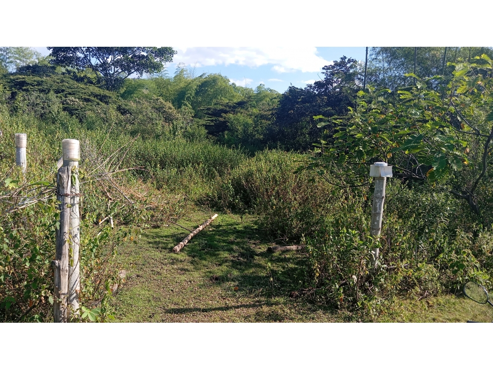 LOTE CAMPESTRE EN QUINAMAYO - 16 - 5