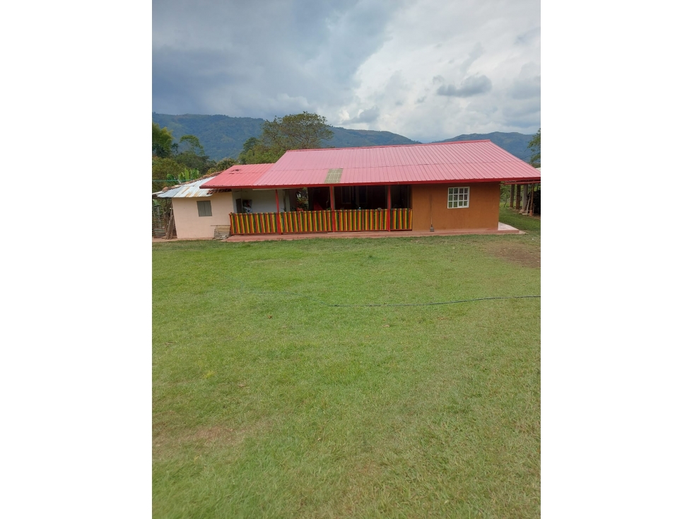 SE VENDE FINCADE 10 HECTAREAS EN MONDOMO VEREDA 3 QUEBRADAS - 172 - 1