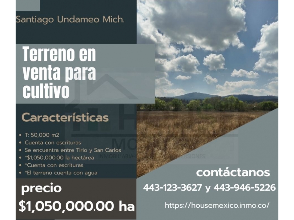 Excelente oportunidad venta de 5 has en Santiago Undameo - 1