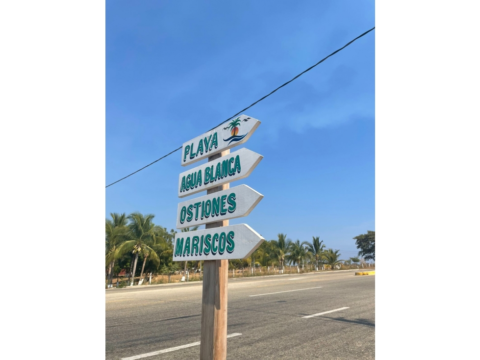 SE VENDEN LOTES EN PLAYA BLANCA TONAMECA - 1