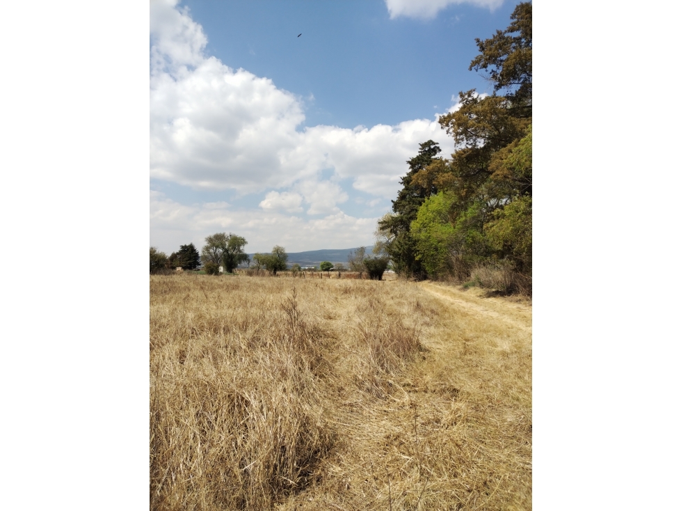 Excelente oportunidad venta de 5 has en Santiago Undameo - 4