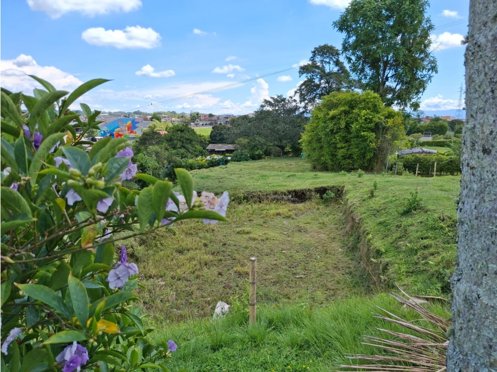 VENDO LOTE EN PEREIRA, CANCELES — foto 5