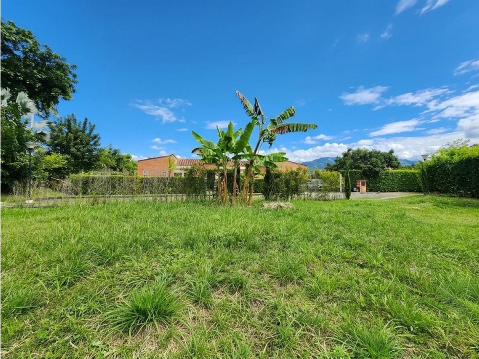 VENDO LOTE SECTOR COMBIA PEREIRA