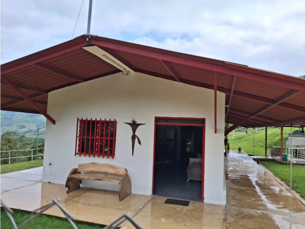 VENDO FINCA EN PEREIRA, LA FLORIDA, USO PRODUCCION DE LECHE — foto 4