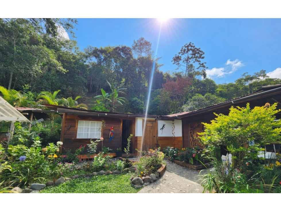 HOTEL ECO LODGE EN VENTA SALENTO - 1