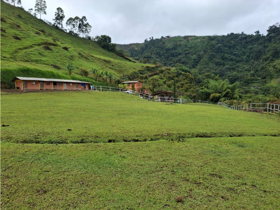 VENDO FINCA EN PEREIRA, LA FLORIDA, USO PRODUCCION DE LECHE
