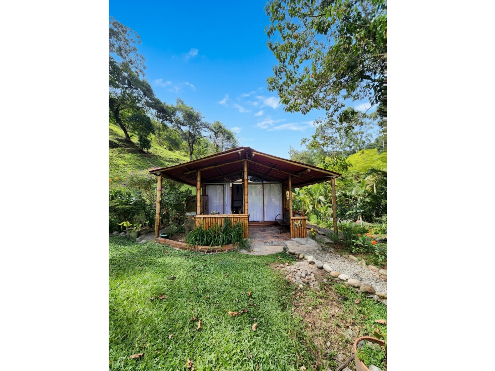 HOTEL ECO LODGE EN VENTA SALENTO - 2