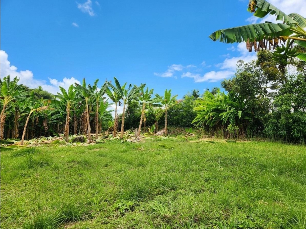 VENDO LOTE SECTOR COMBIA PEREIRA — foto 3