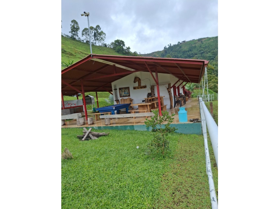 VENDO FINCA EN PEREIRA, LA FLORIDA, USO PRODUCCION DE LECHE — foto 5