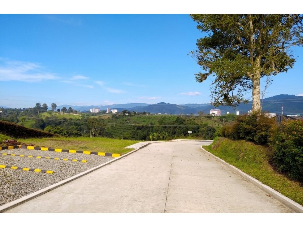 VENDO LOTE CAMPESTRE VIA ARMENIA- MONTENEGRO — foto 5