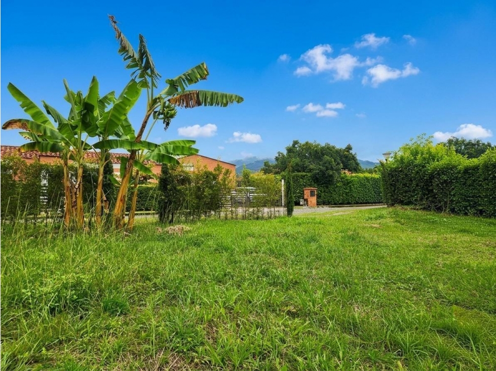 VENDO LOTE SECTOR COMBIA PEREIRA — foto 4