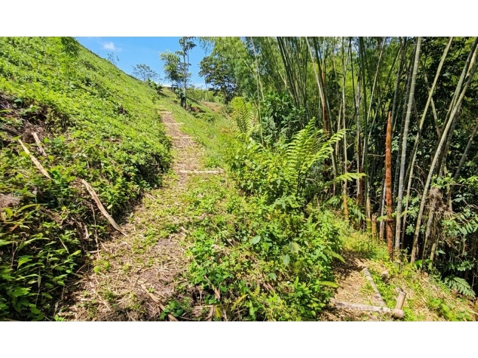 VENDO LOTE CAMPESTRE VIA ARMENIA- MONTENEGRO — foto 6