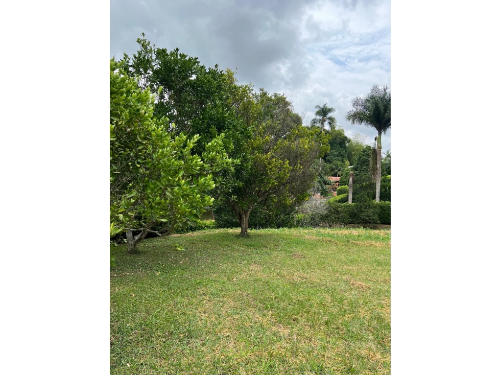 VENDO LOTE EN PEREIRA,EL TIGRE