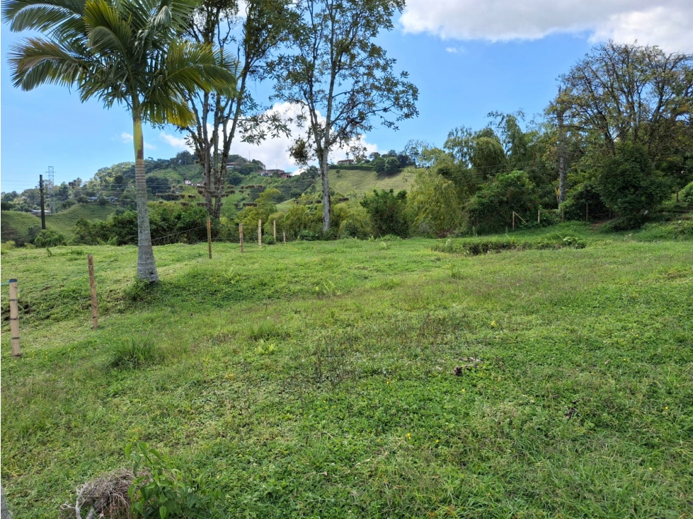 VENDO LOTE EN PEREIRA, CANCELES — foto 3