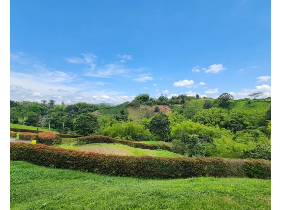 VENDO LOTE CAMPESTRE VIA ARMENIA- MONTENEGRO — foto 2