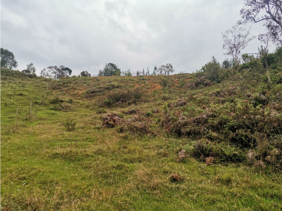 VENTA DE LOTE EN SAN VICENTE VEREDA EL CORAL ANTIOQUIA — foto 4