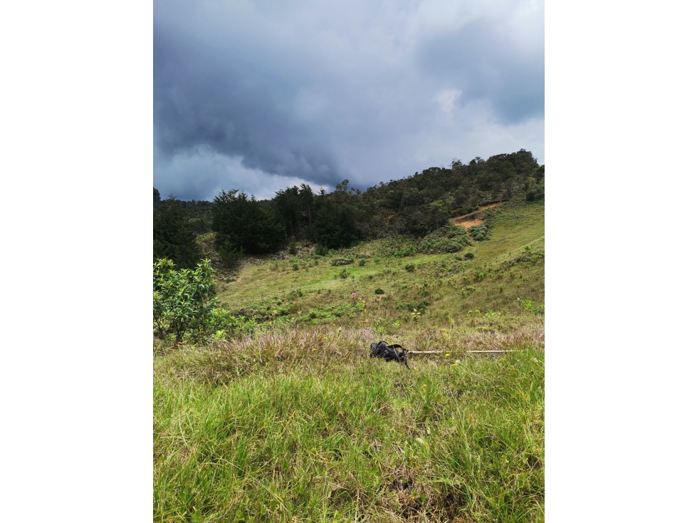 VENTA DE LOTE EN SAN VICENTE VEREDA EL CORAL ANTIOQUIA — foto 5