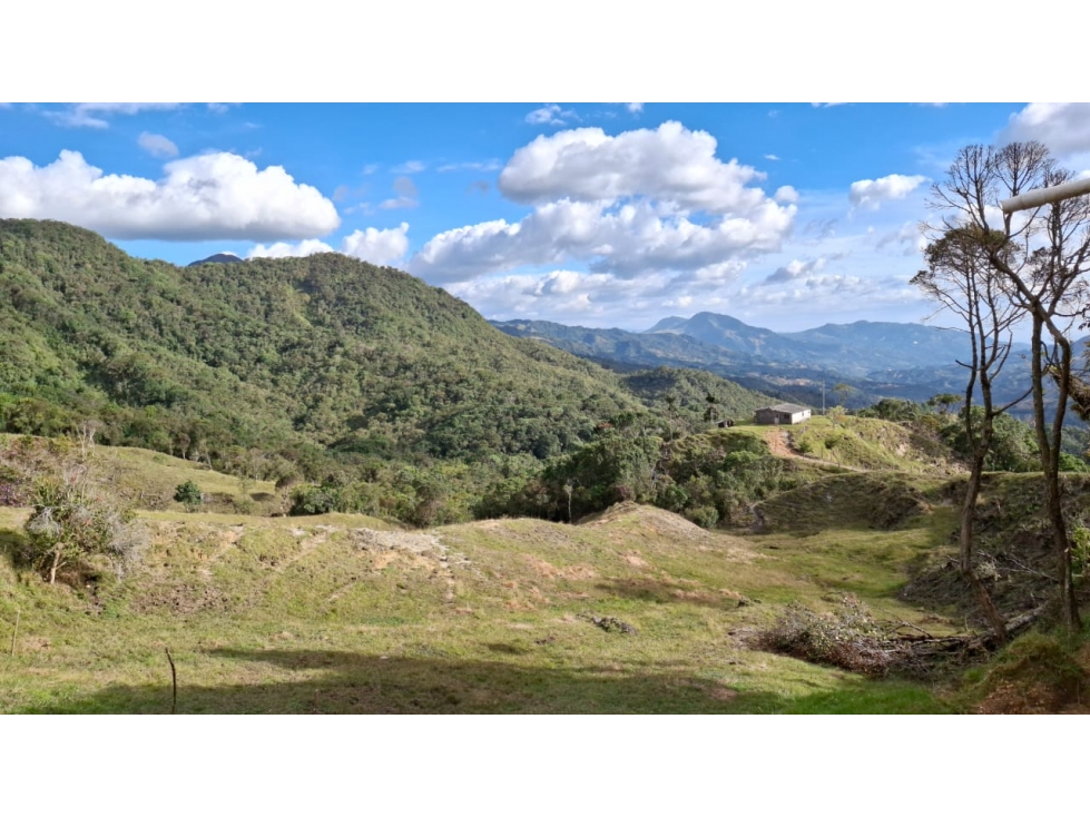 Venta finca ecológica con nacimientos Oriente Antioqueño