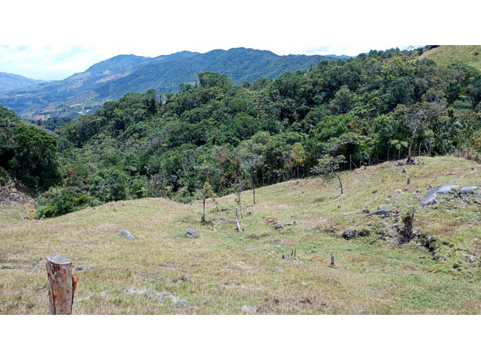 Venta finca ecológica con nacimientos Oriente Antioqueño — foto 2