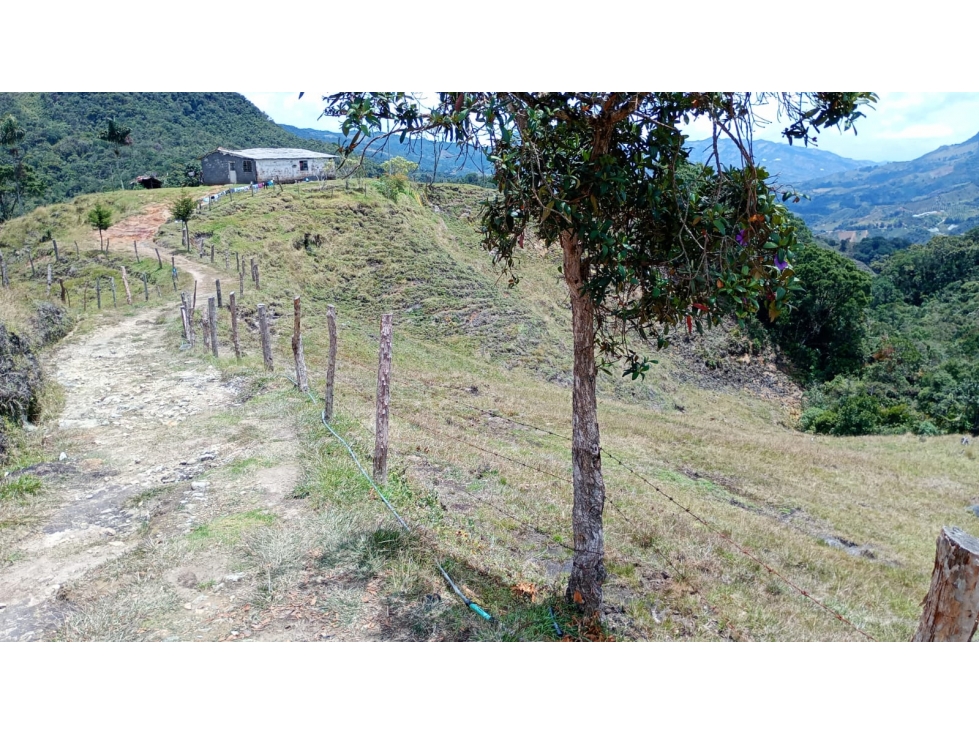 Venta finca ecológica con nacimientos Oriente Antioqueño — foto 3
