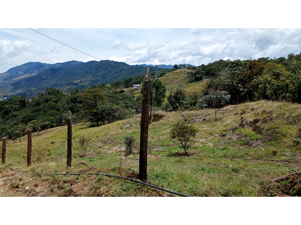 Venta finca ecológica con nacimientos Oriente Antioqueño — foto 4