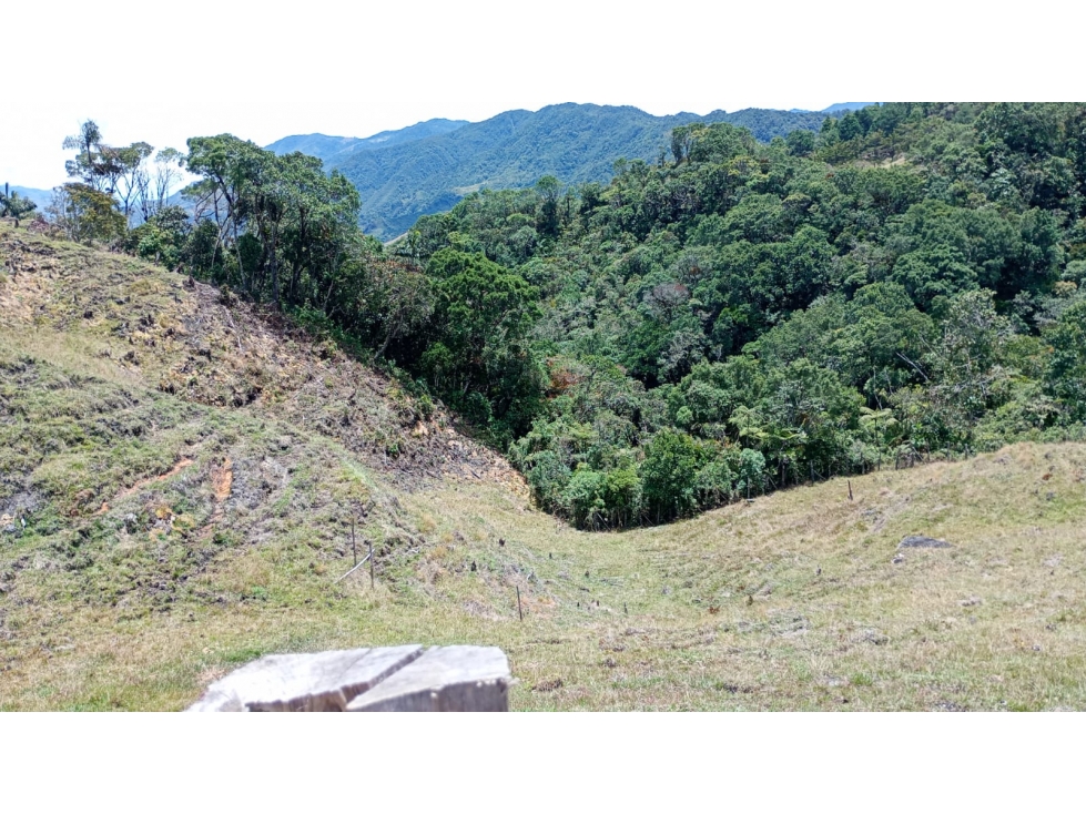 Venta finca ecológica con nacimientos Oriente Antioqueño — foto 5
