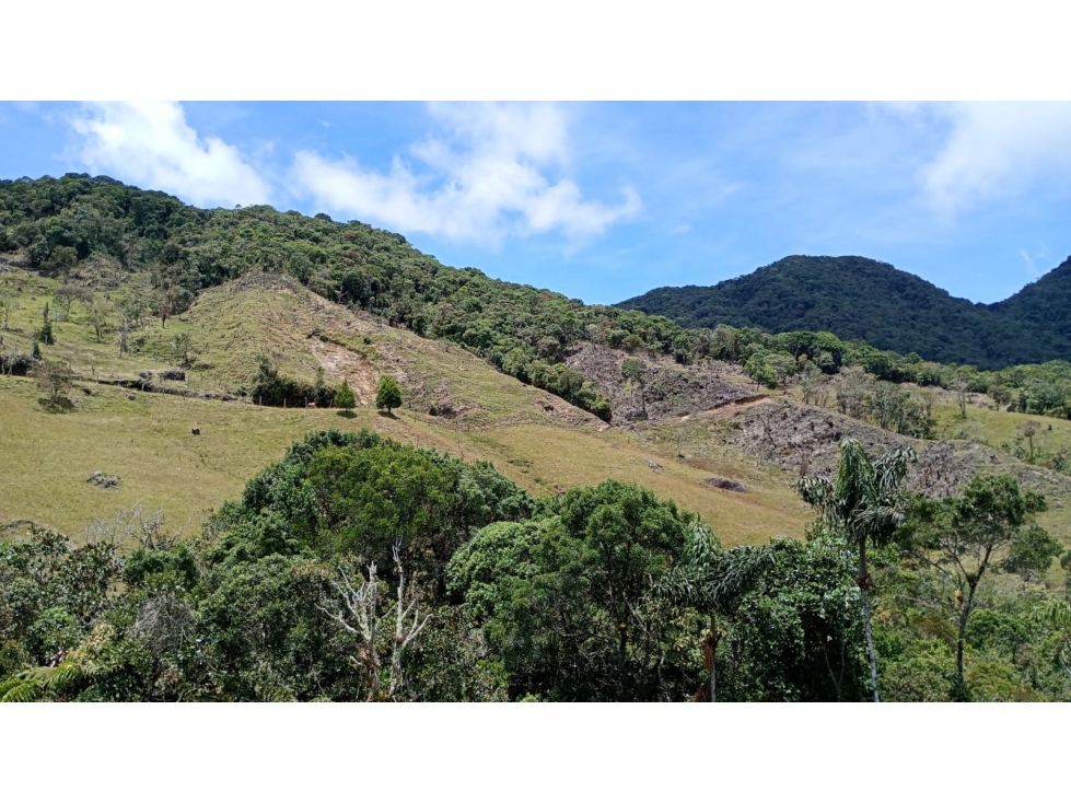 Venta finca ecológica con nacimientos Oriente Antioqueño — foto 6