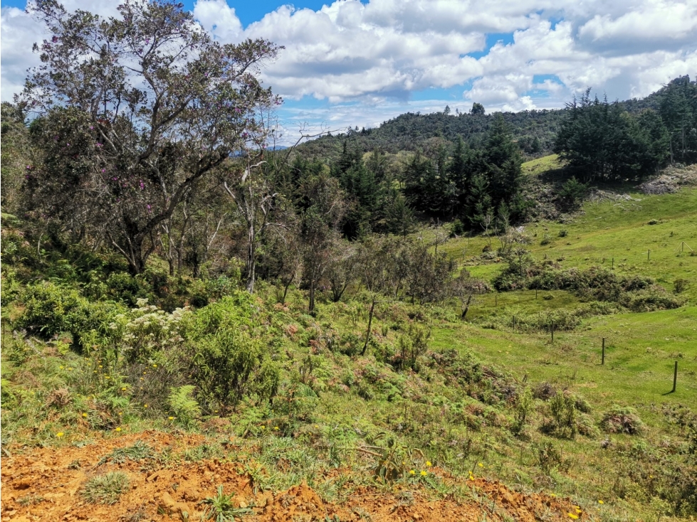 VENTA DE LOTE EN SAN VICENTE VEREDA EL CORAL ANTIOQUIA