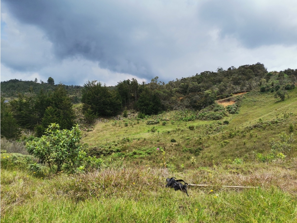VENTA DE LOTE EN SAN VICENTE VEREDA EL CORAL ANTIOQUIA — foto 2