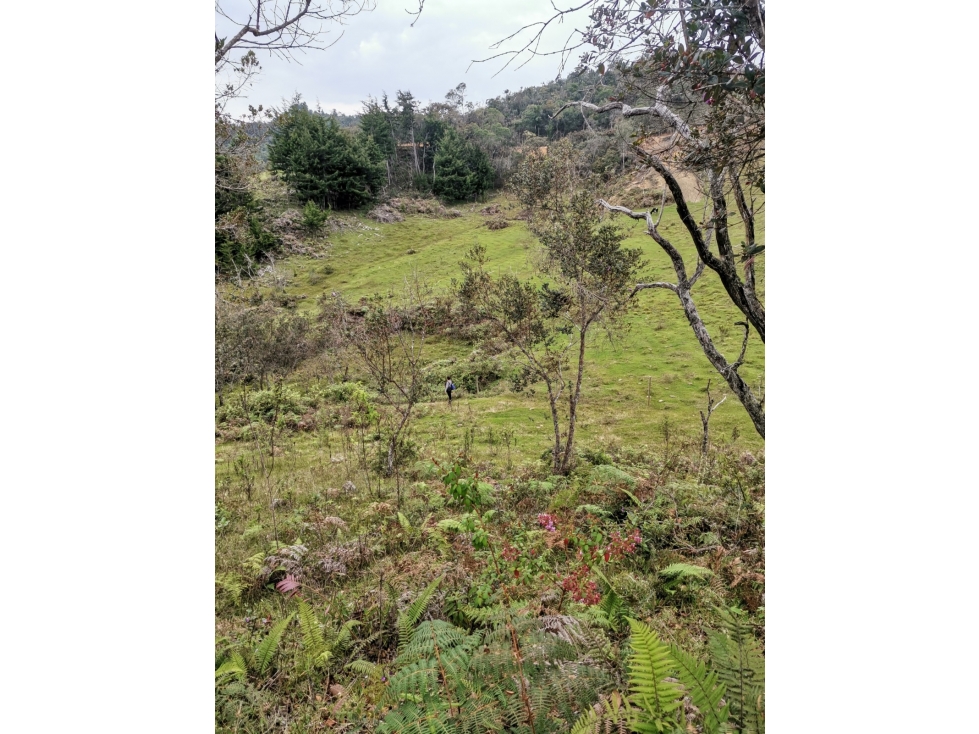 VENTA DE LOTE EN SAN VICENTE VEREDA EL CORAL ANTIOQUIA — foto 3