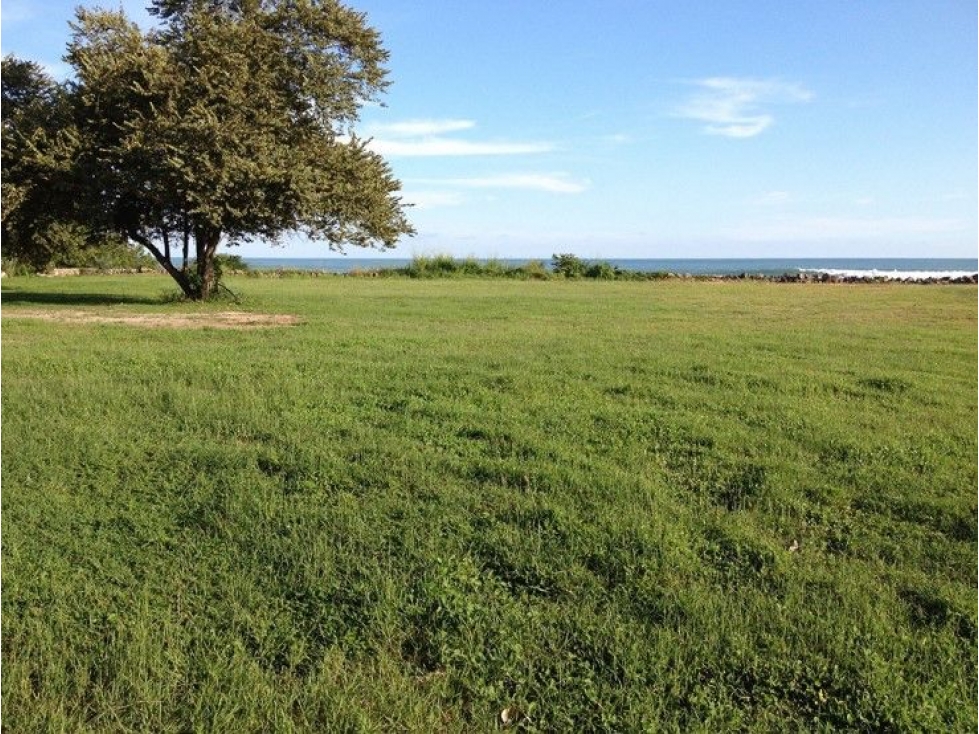 SE VENDE TERRENO EN PUNTA ROCA, SAN CARLOS - YP