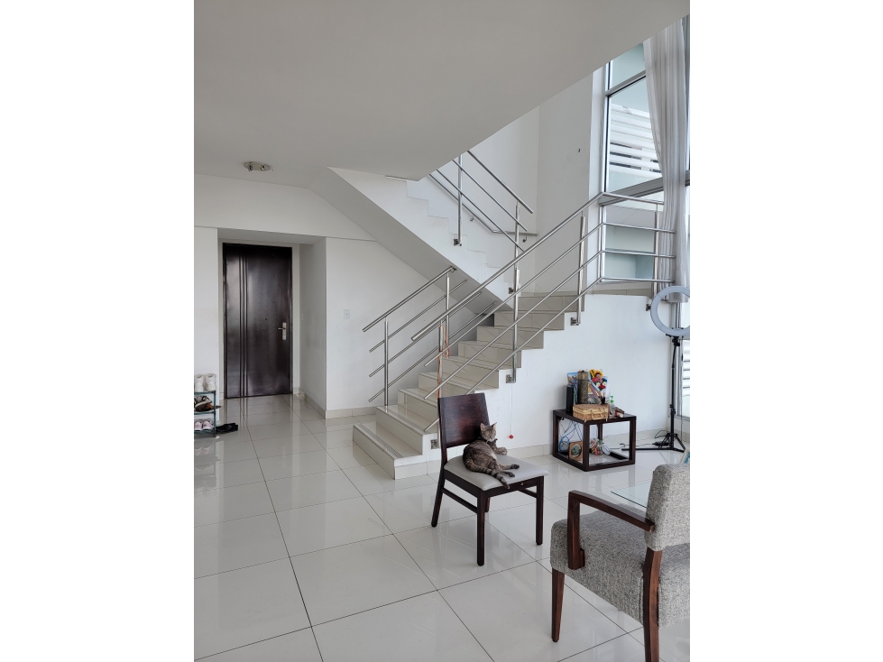 Apartamento en Venta PH Park Loft San Francisco - SG