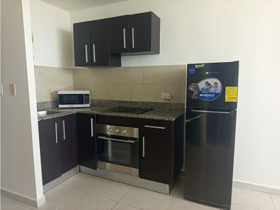 Venta o Alquiler Apartamento Semi-Amoblado PH Bay View, Av. Balboa YJ — foto 3