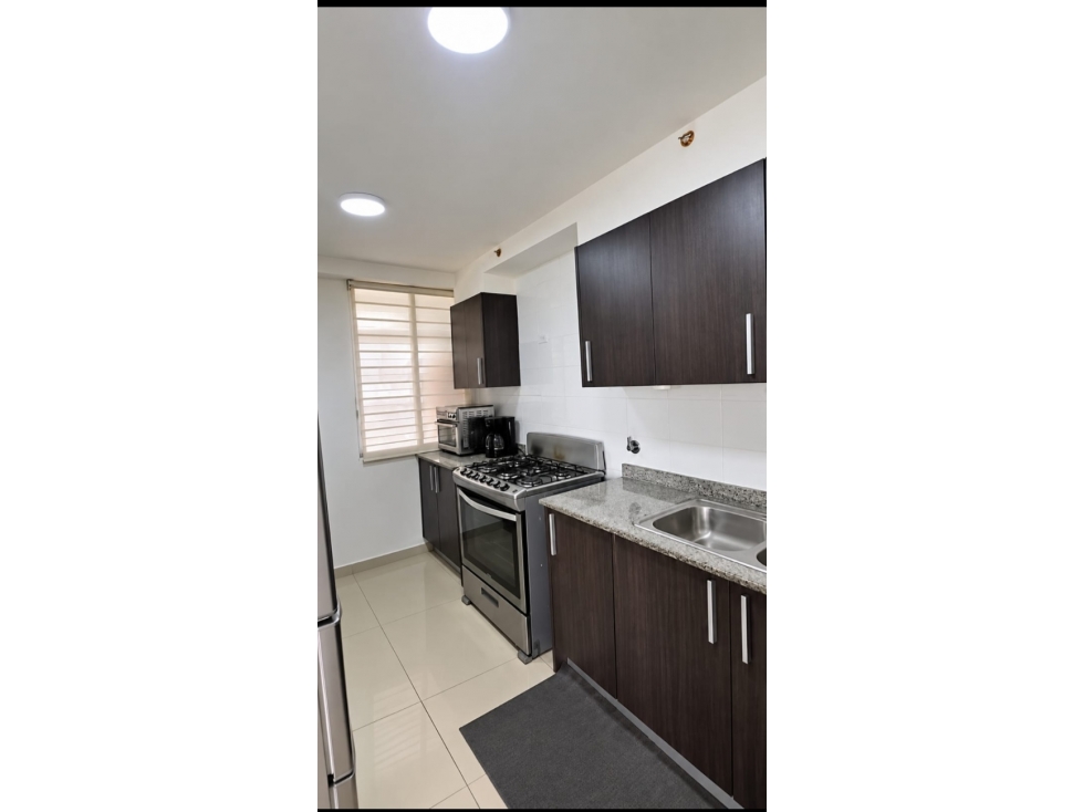 Alquilo Apartamento en PH Sky Park, vista al Parque Omar - YP — foto 3