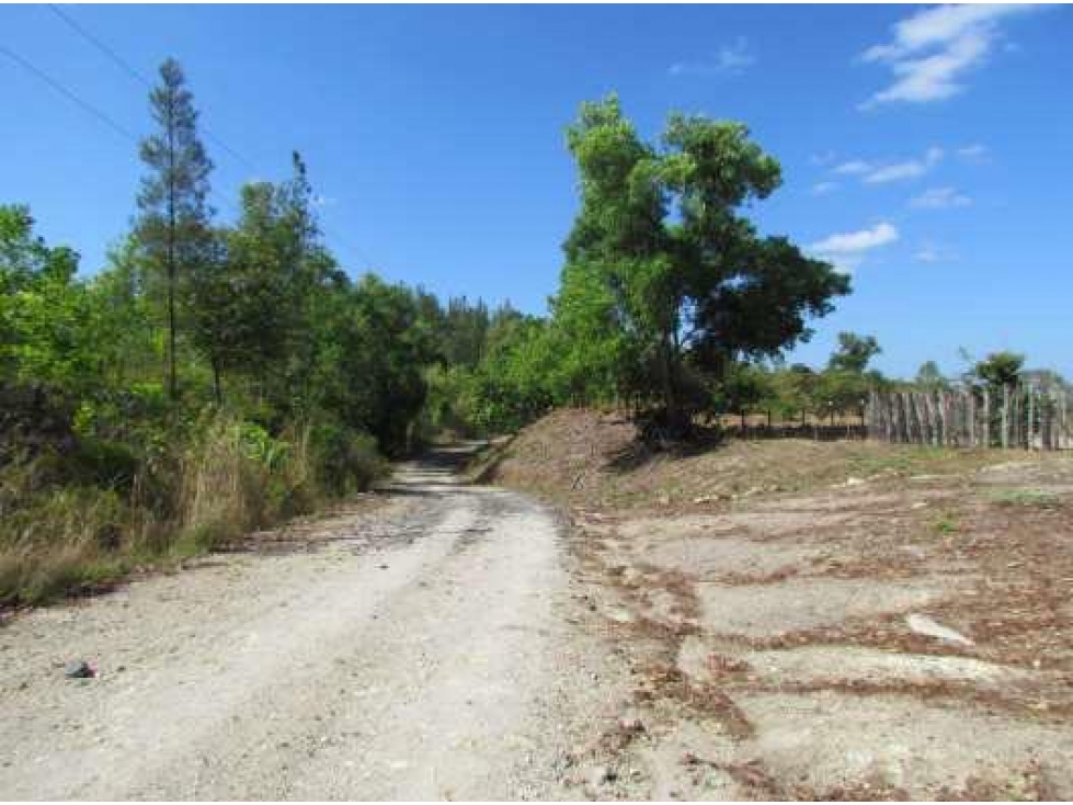 VENTA DE FINCA EN LA COLORADITA DE VERAGUAS - SG - 4