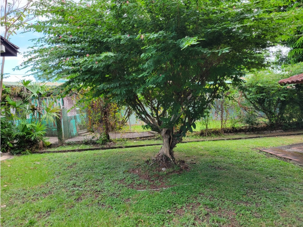 Venta de Casa en Altos del Golf - Para Renovar - 1050 m2 - DG — foto 4