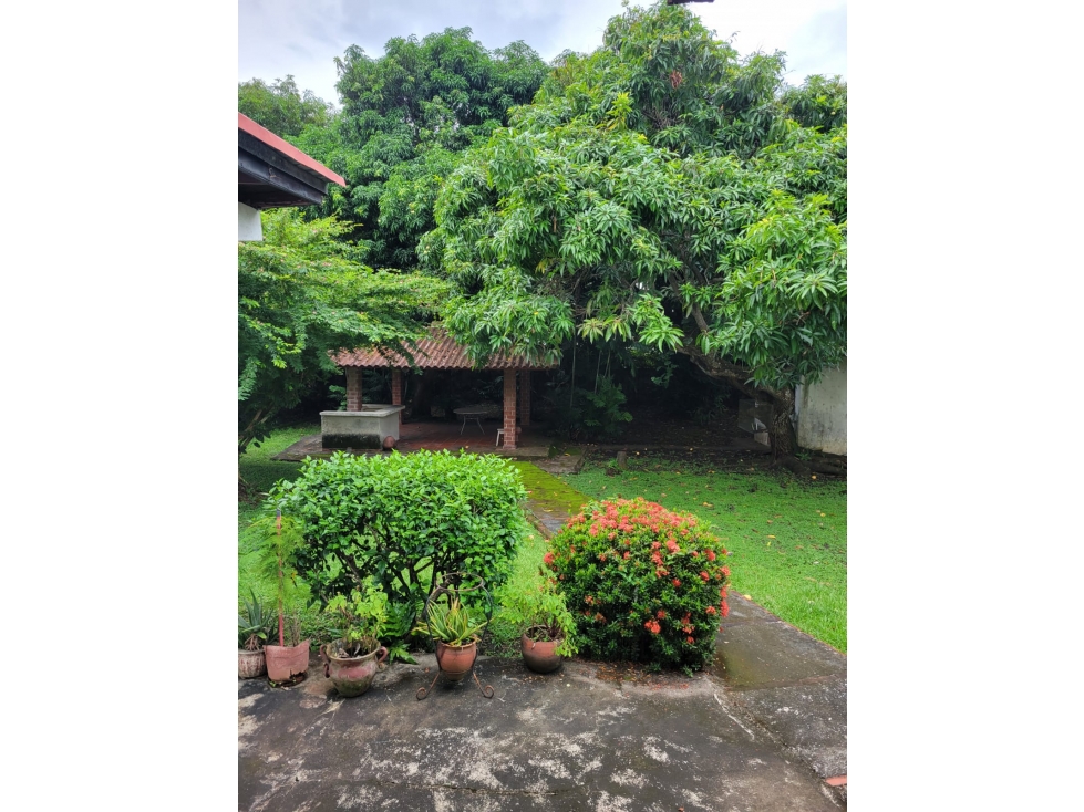 Venta de Casa en Altos del Golf - Para Renovar - 1050 m2 - DG — foto 5