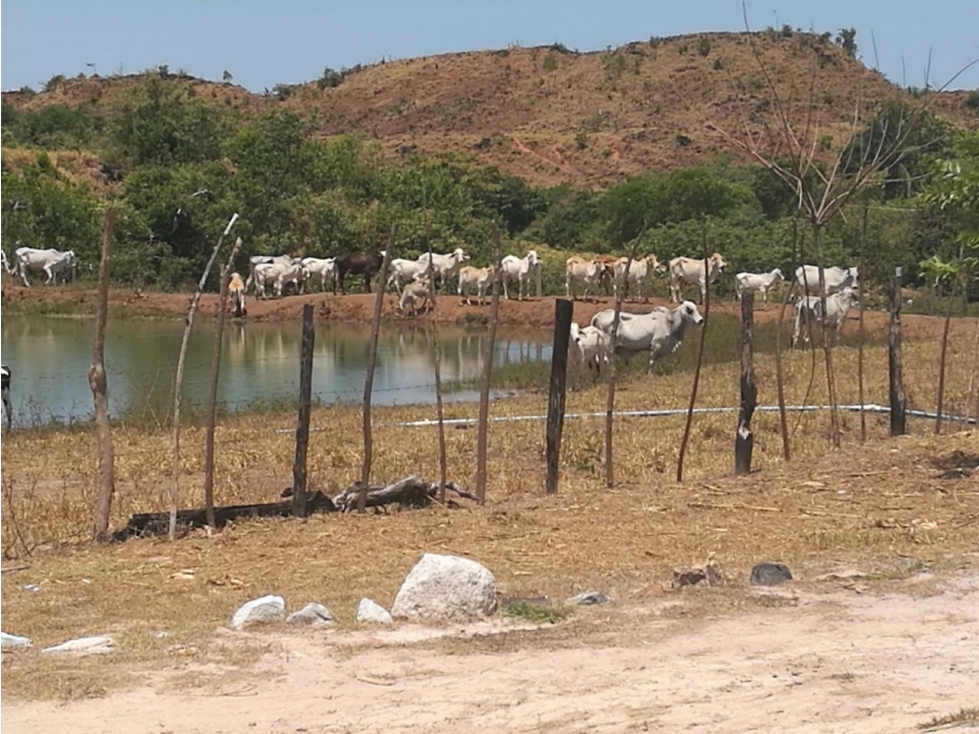 VENTA DE FINCA EN LA COLORADITA DE VERAGUAS - SG - 5
