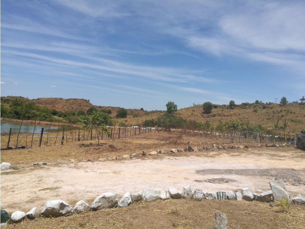 VENTA DE FINCA EN LA COLORADITA DE VERAGUAS - SG - 6