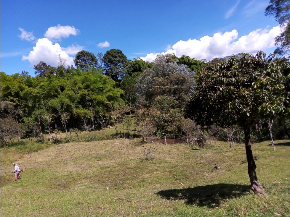 VENTA DE LOTE EN GUARNE ANTIOQUIA SECTOR EL SANGO — foto 2