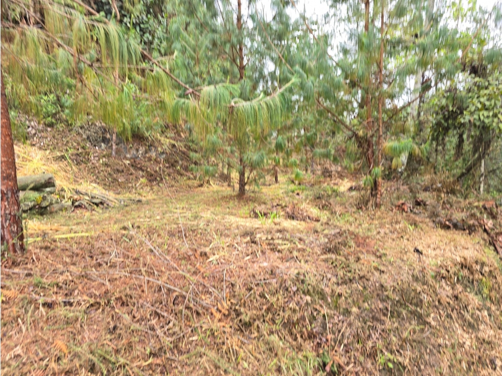VENTA DE LOTE EN ENVIGADO SECTOR EL ESCOBERO