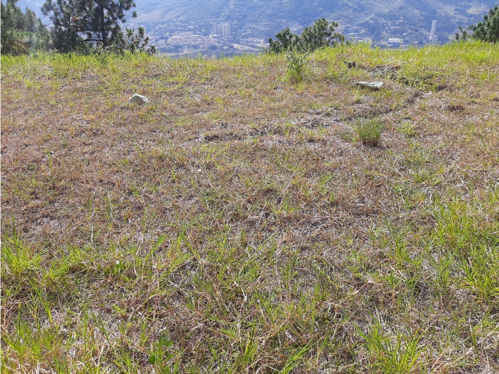 VENTA DE LOTE EN NORTE AMERICA BELLO