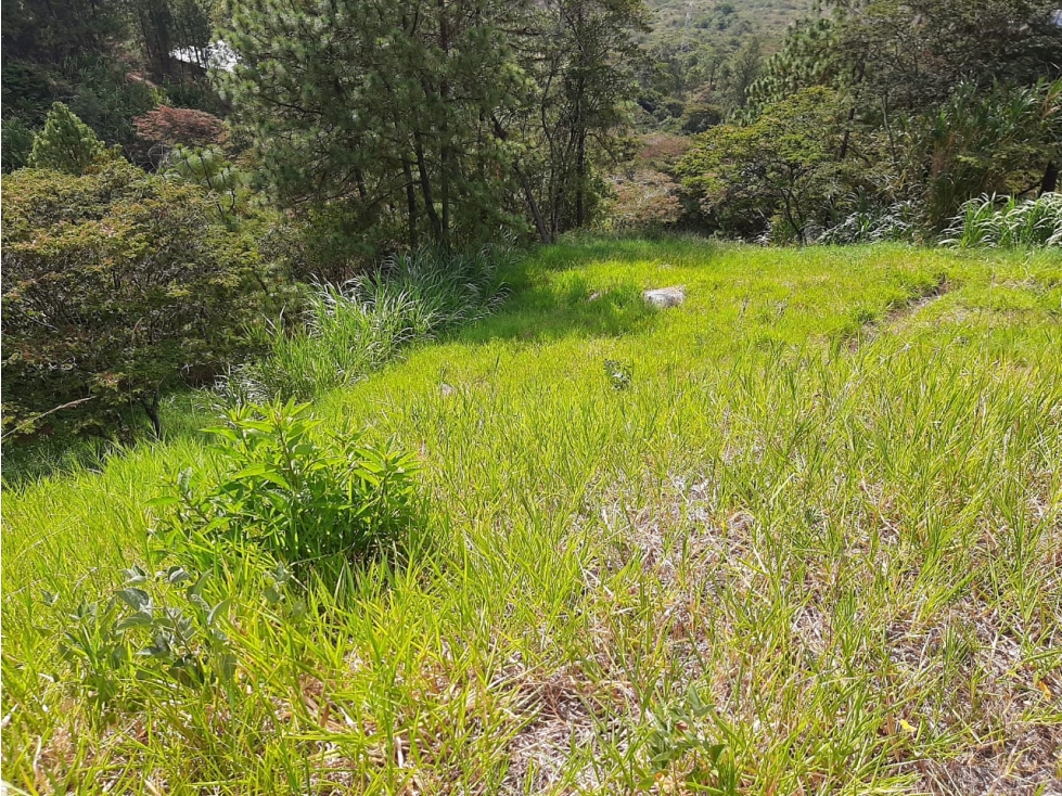 VENTA DE LOTE EN NORTE AMERICA BELLO — foto 4