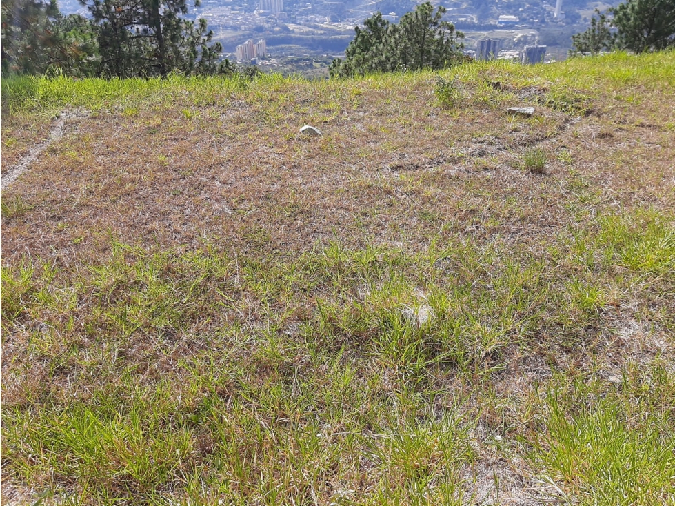 VENTA DE LOTE EN NORTE AMERICA BELLO — foto 3