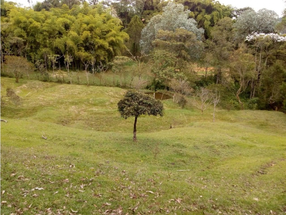 VENTA DE LOTE EN GUARNE ANTIOQUIA SECTOR EL SANGO — foto 3