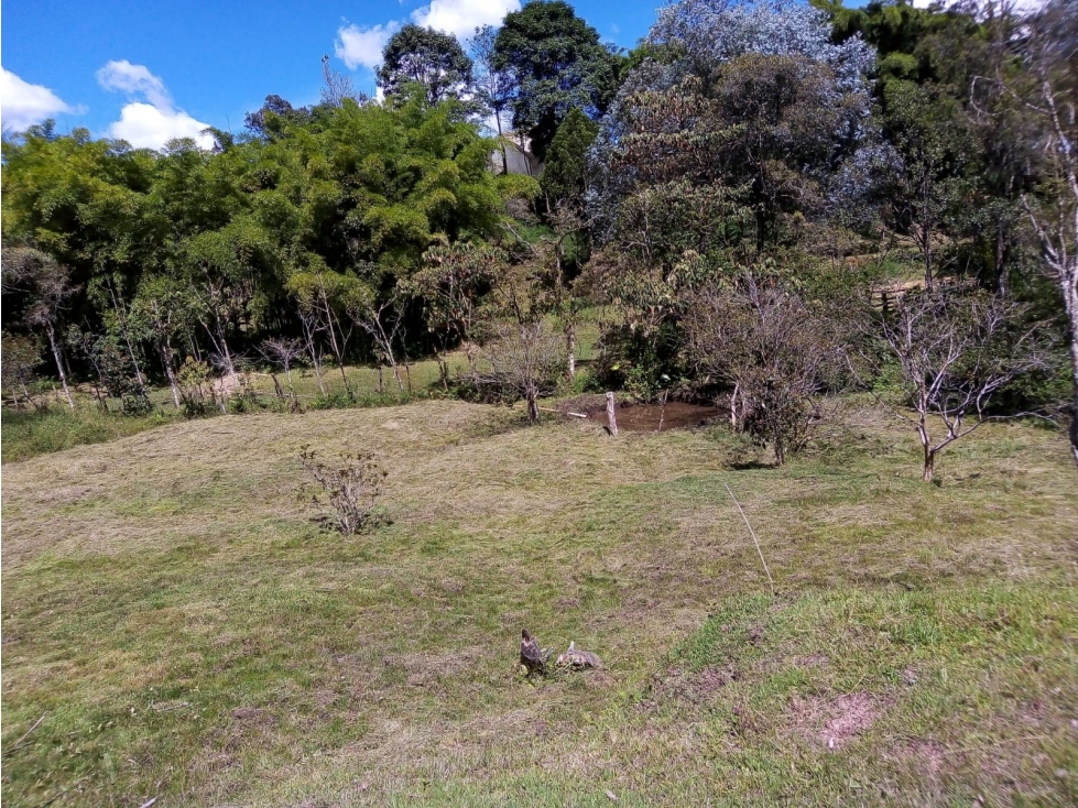 VENTA DE LOTE EN GUARNE ANTIOQUIA SECTOR EL SANGO — foto 4